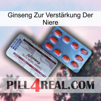 Ginseng Zur Verstärkung Der Niere 36